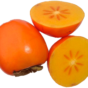 Persimmon PNG image