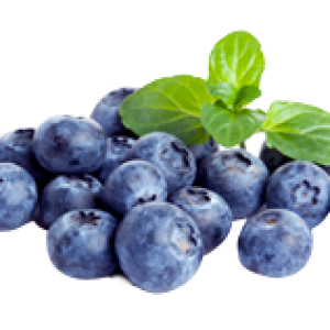 Blueberries PNG