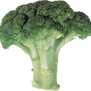 Broccoli PNG