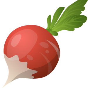 Radish PNG