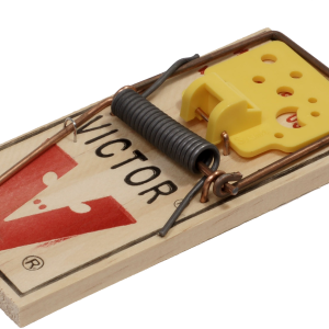Mouse trap PNG