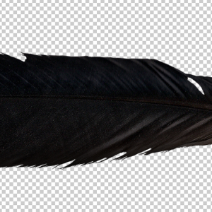 Feather PNG