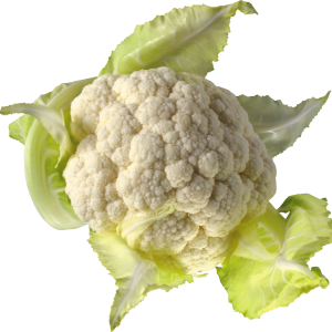 cauliflower PNG image