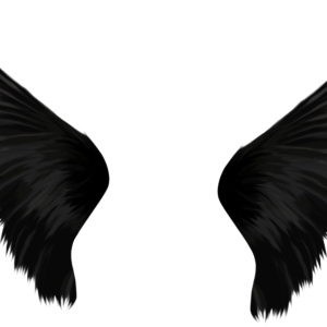 Wings PNG