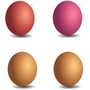 Eggs PNG