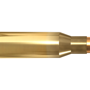 Bullets PNG image