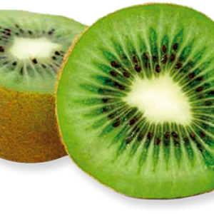 Kiwi PNG image, free fruit kiwi PNG pictures download