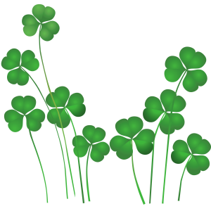 Shamrock PNG