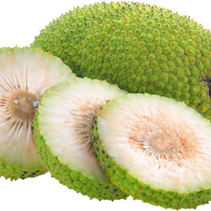 Jackfruit PNG