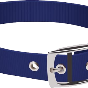 Dog collar PNG