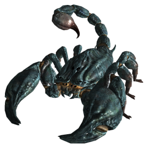 Scorpion PNG