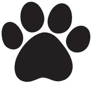Paw PNG