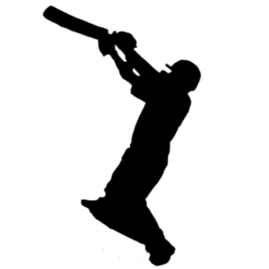 Cricket PNG