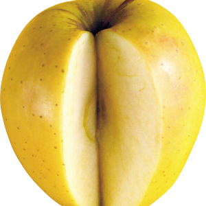 Apple PNG