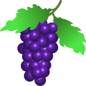 Grape PNG image download, free picture