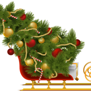 Christmas tree PNG