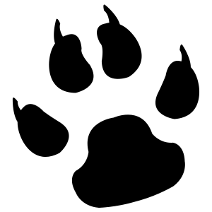 Paw PNG