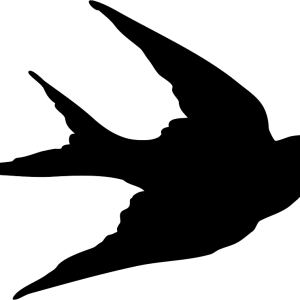Swallow PNG