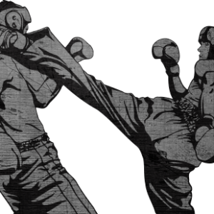 Kickboxing PNG