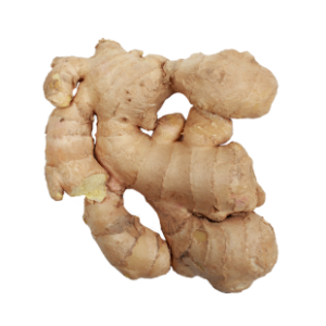 Ginger PNG
