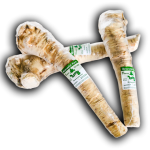 Horseradish PNG