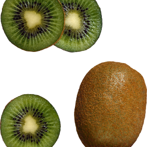 Kiwi PNG image, free fruit kiwi PNG pictures download