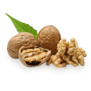 Walnut PNG