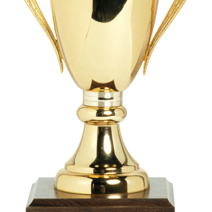 Golden cup PNG