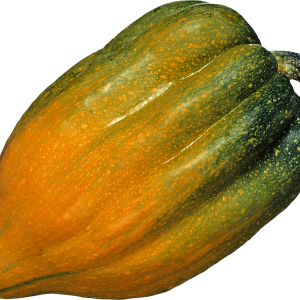 Pumpkin PNG image