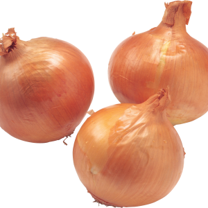 Onion PNG