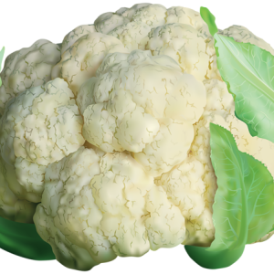 Cauliflower PNG