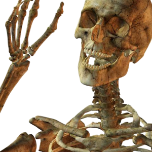 Skeleton PNG image