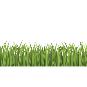 Grass PNG