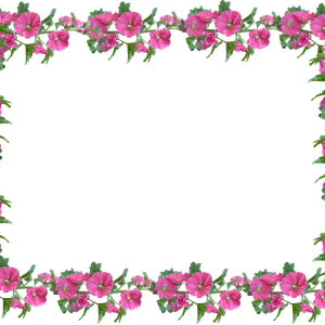 Floral frame PNG