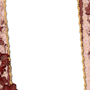 Picture, photo frame PNG