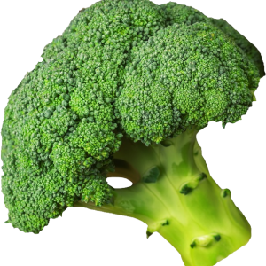 Broccoli PNG