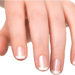 Nails PNG
