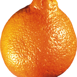 Mandarin PNG