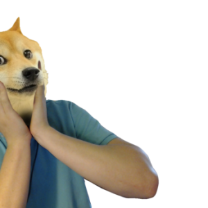 Doge (meme) PNG image