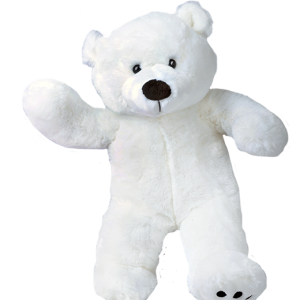 Teddy bear PNG