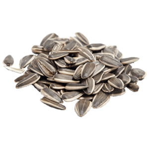 Sunflower seeds PNG