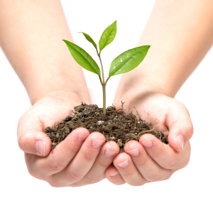 Soil in hands PNG