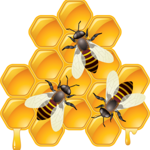 Bee PNG