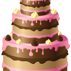 Chocolate cake PNG