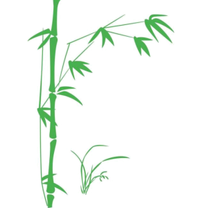 Bamboo PNG