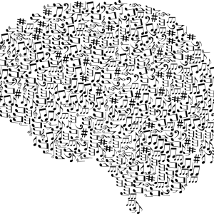 Brain PNG