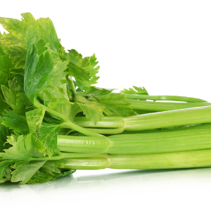 Celery PNG