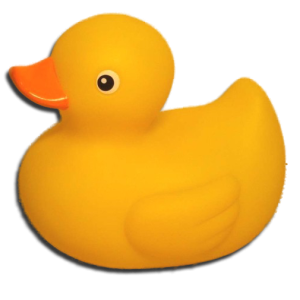 Rubber duck PNG