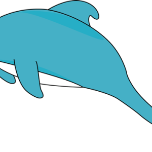 Dolphin PNG