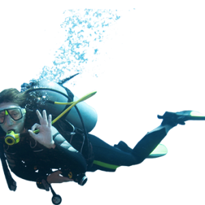Diver PNG